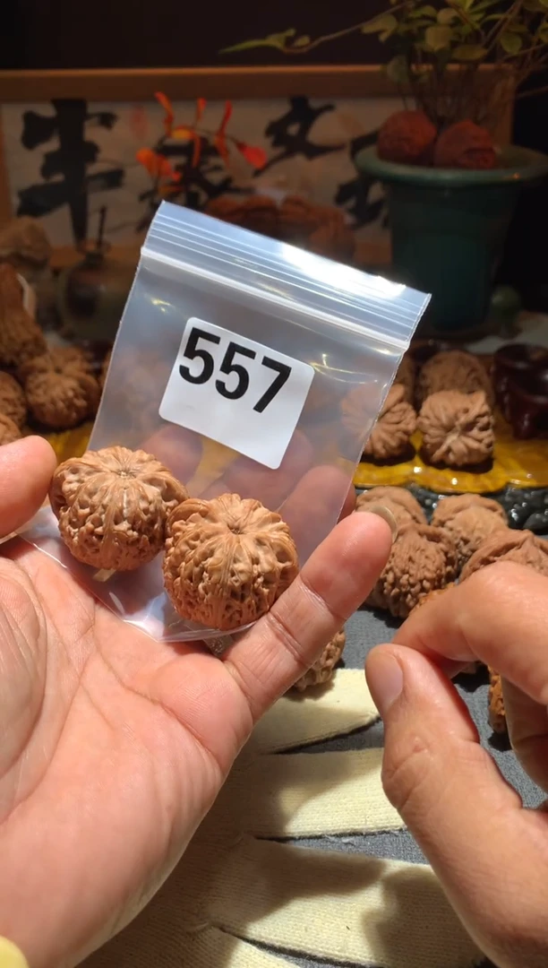 把件桃核勿*557龙顶山狮子头 38+尺寸左右打底盘玩不支持退换