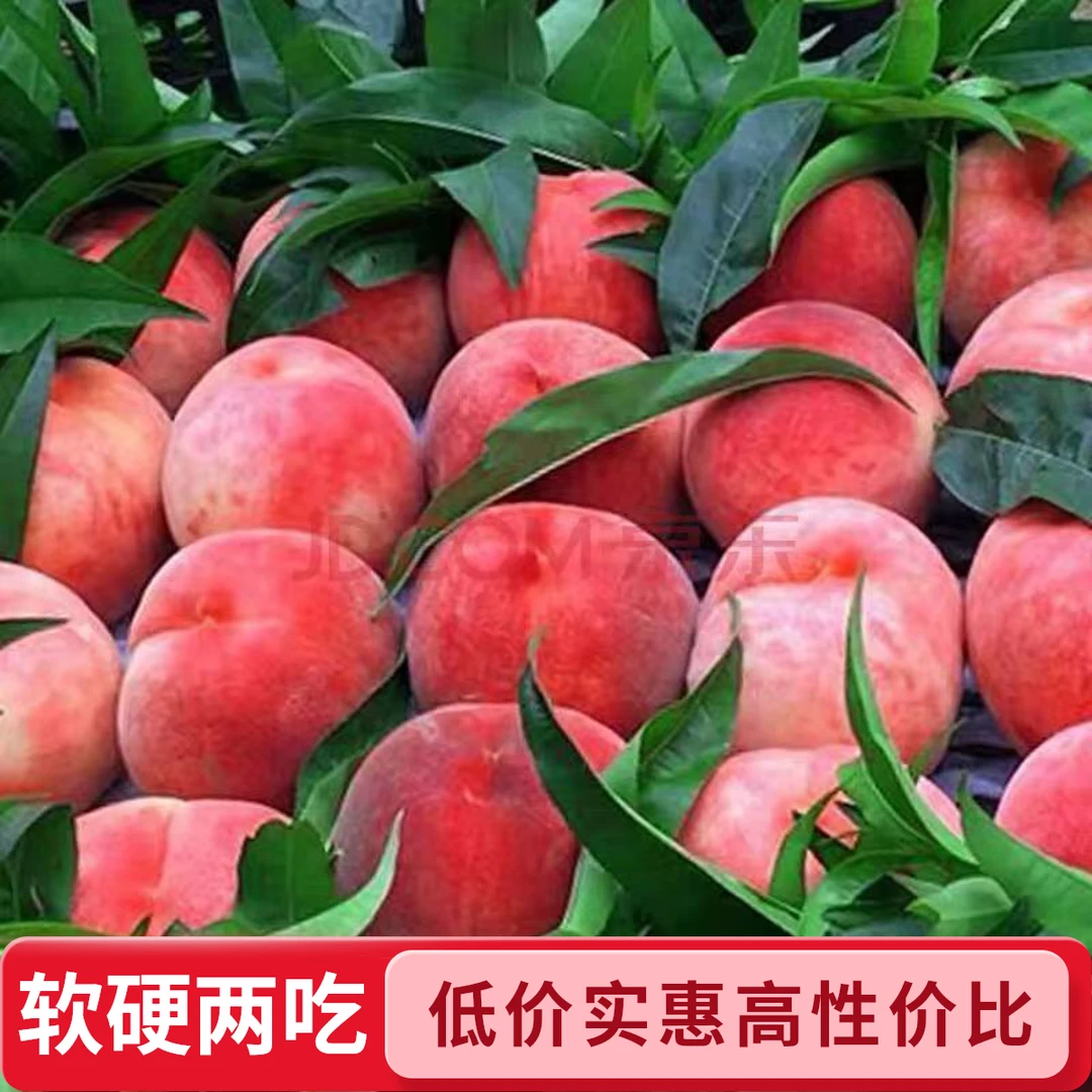 山西新鲜现摘水蜜桃香甜爆汁脆软两吃自然熟头茬露天桃子
