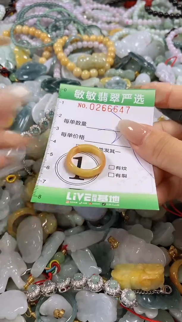 翡翠未镶嵌颈饰闪购0266647