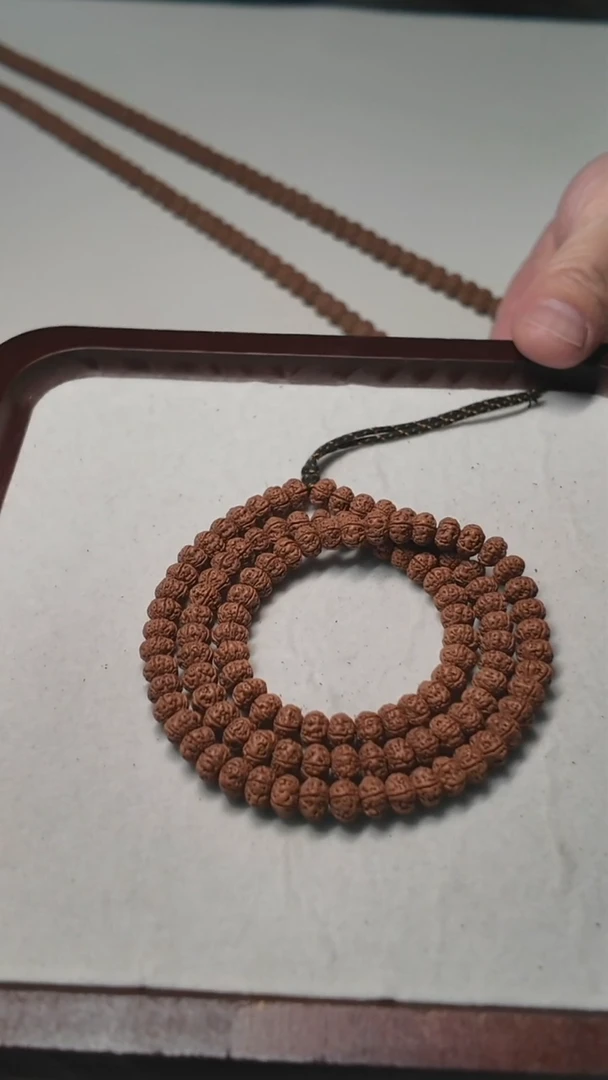 全品树王五瓣满肉108  7+ 仅两条秒杀价