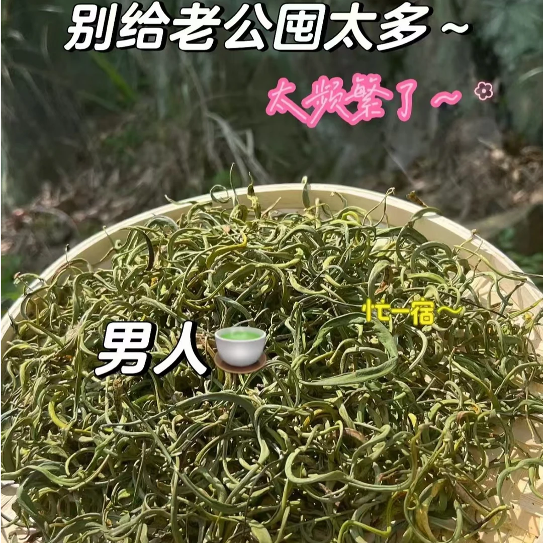 东北长白山肾经草化石草石头草黄金草孢子茶嗷嗷叫泡水泡酒肾经草