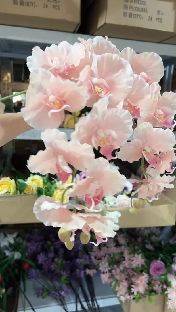 2枝粉色9头蝴蝶兰
