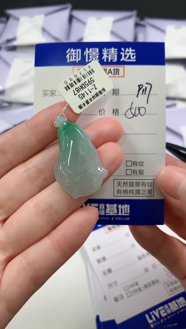 颈饰未镶嵌翡翠E****?43