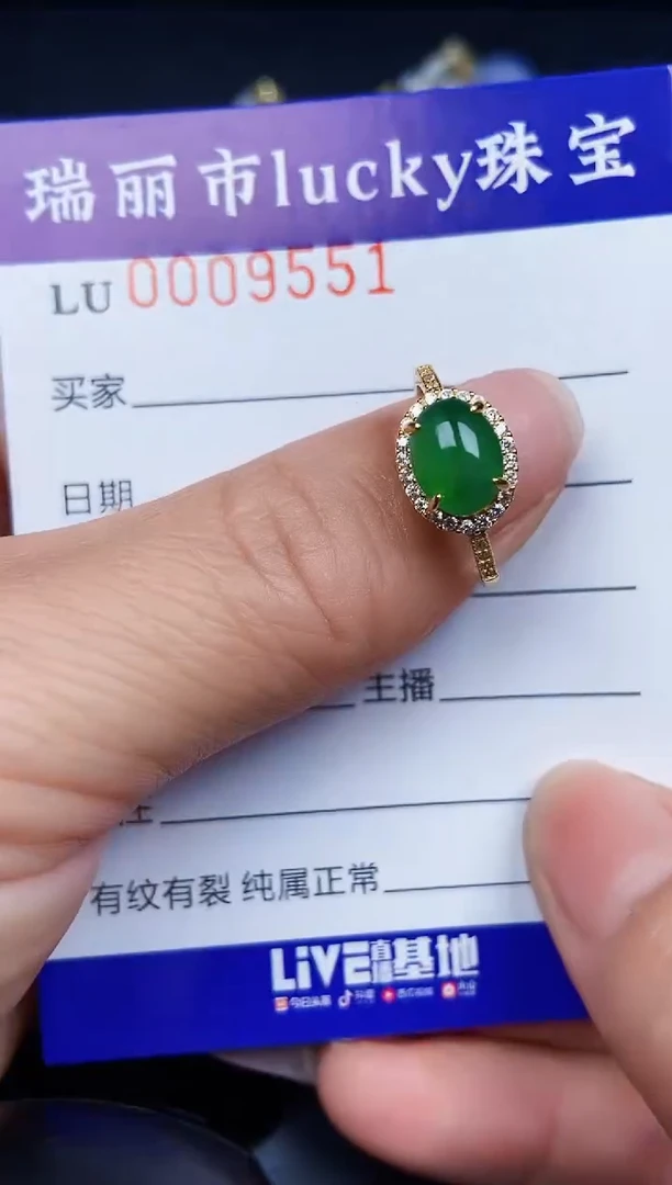 翡翠银S925镶嵌颈饰9551