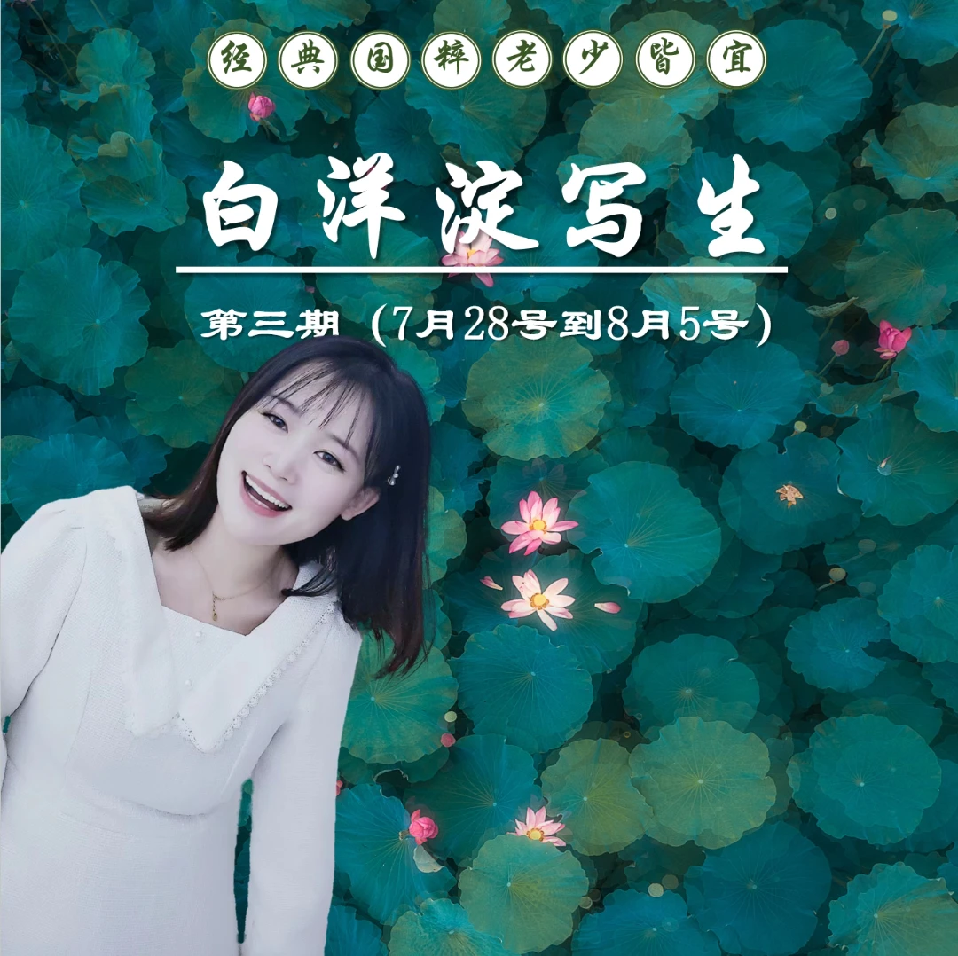 《白洋淀写生》丢丢老师带队国画写生成人