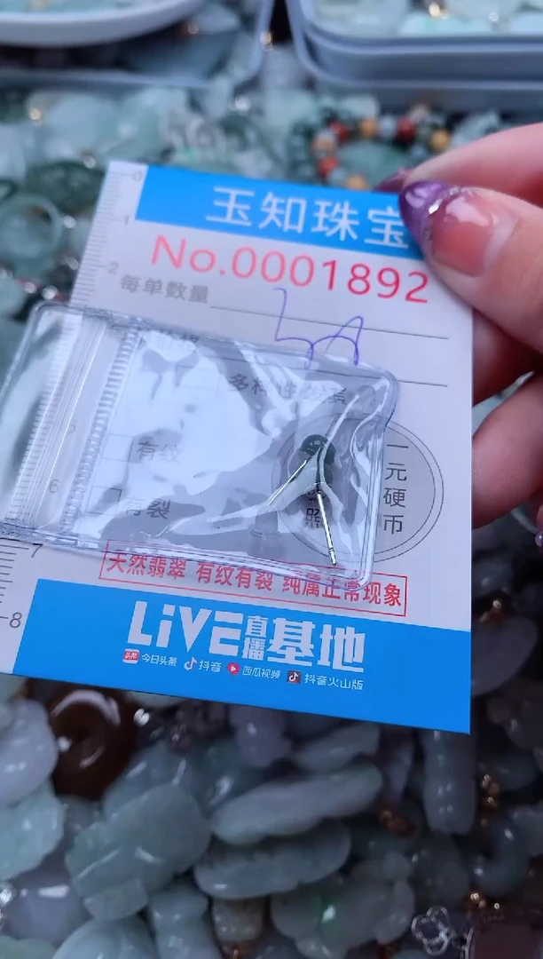 翡翠未镶嵌吊坠(不含链)1892