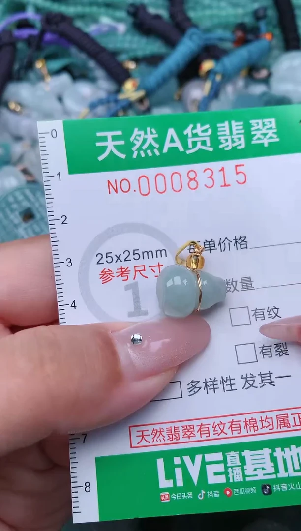 翡翠未镶嵌颈饰.0008315