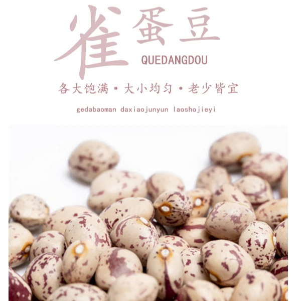 云南特产--雀蛋豆--500g