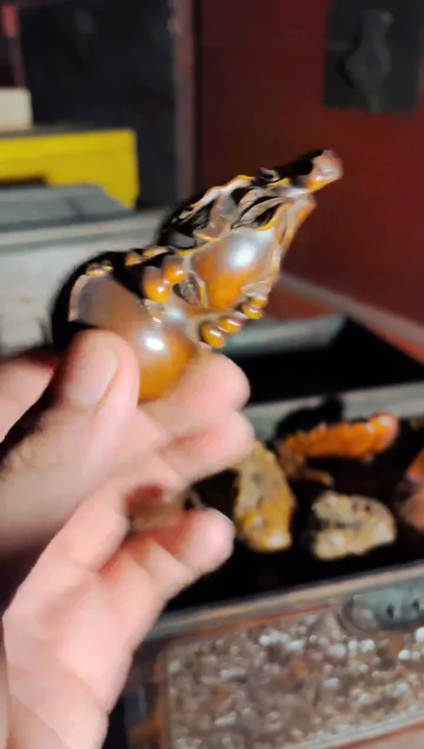 【闪购商品】木小硕硕精选专属链接11