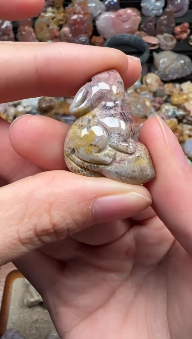 颈饰未镶嵌硅化珊瑚（珊瑚玉）326