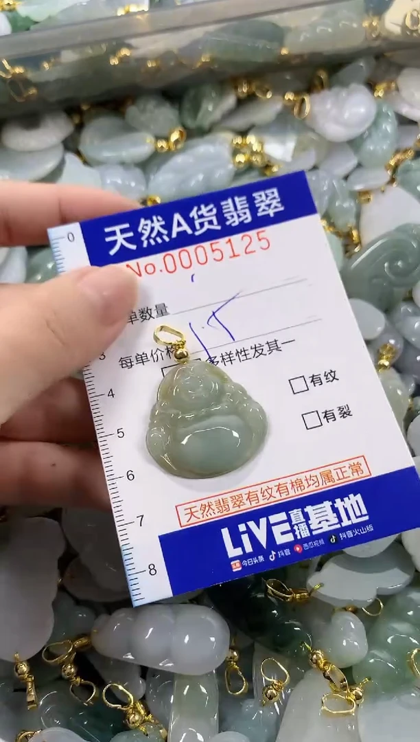 颈饰未镶嵌翡翠天然A货翡翠