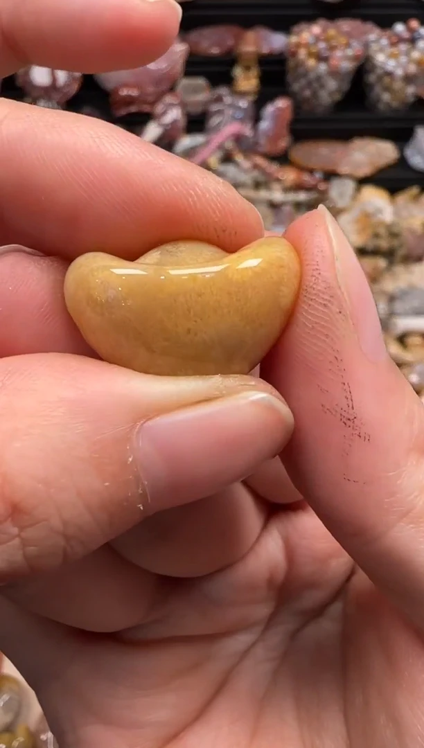 【闪购商品】硅化珊瑚（珊瑚玉）颈饰未镶嵌756