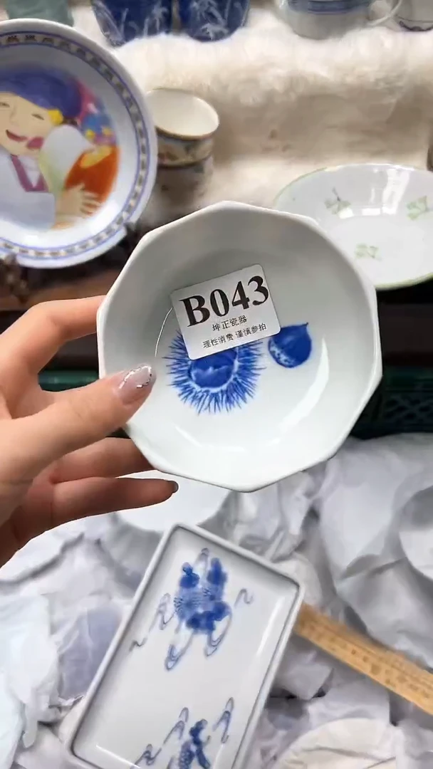 【闪购商品】瓷片          B043