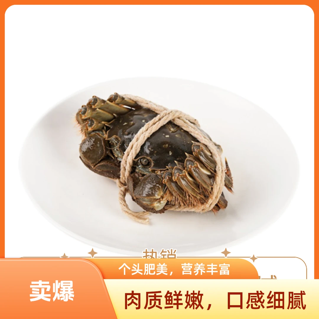 （鲜活）黄河口大闸蟹，2两半每只的母