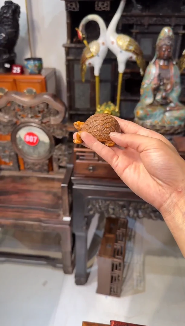 木木头款黄杨金钱龟68