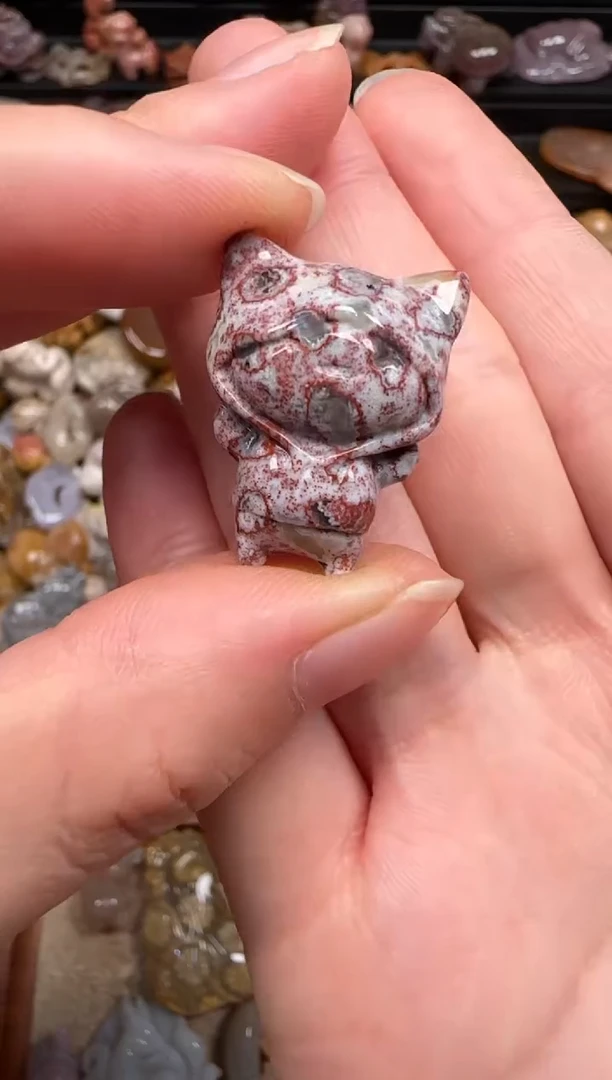 硅化珊瑚（珊瑚玉）未镶嵌颈饰326