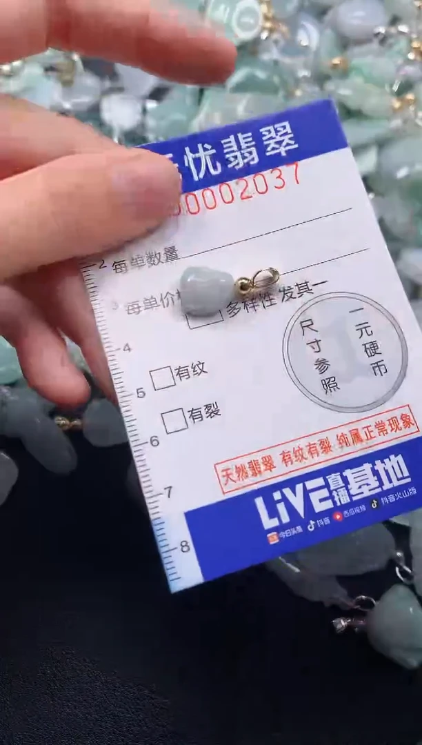 颈饰未镶嵌翡翠2037