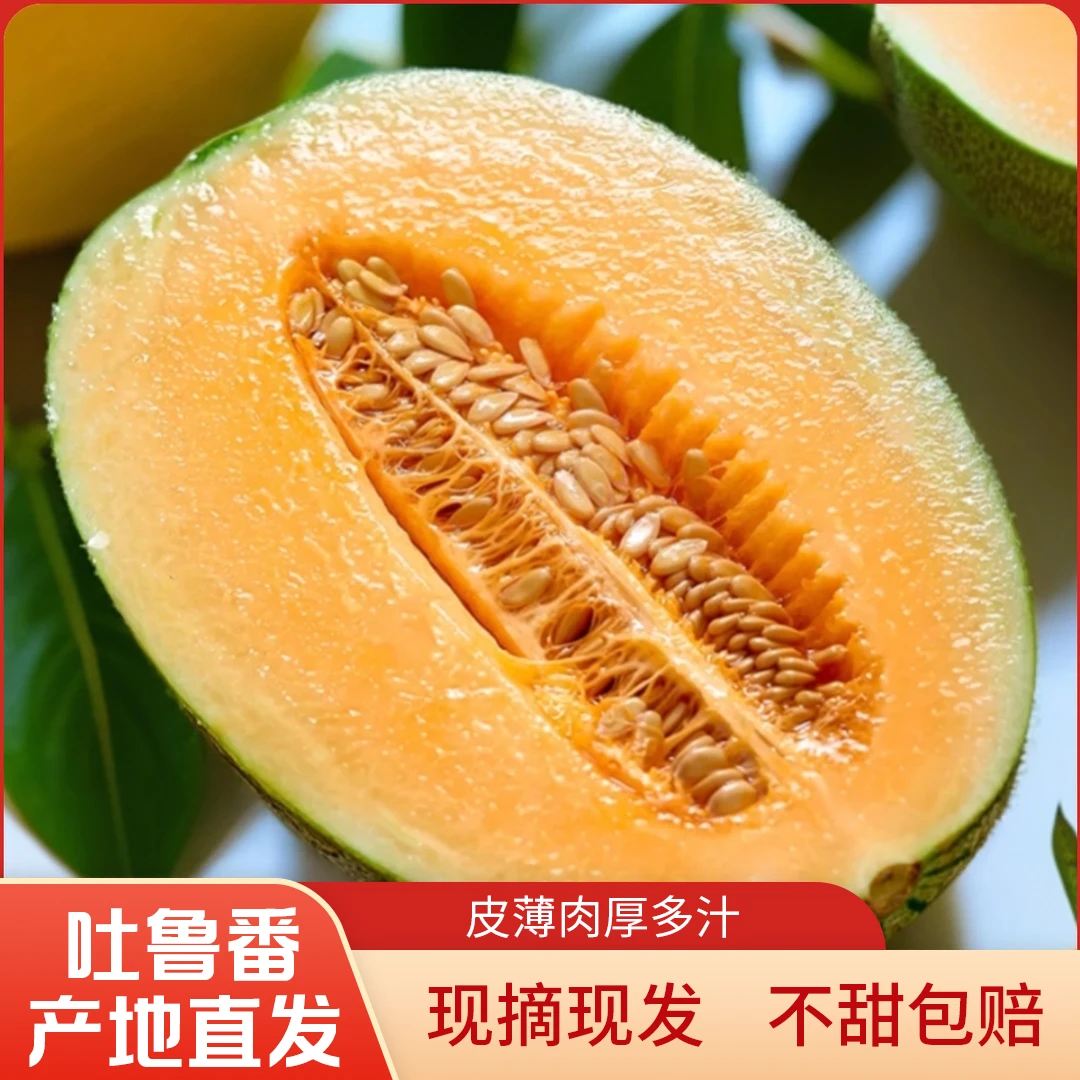 【专属链接】新疆吐鲁番直发西州蜜25号火焰蜜瓜新鲜甜蜜应季水果