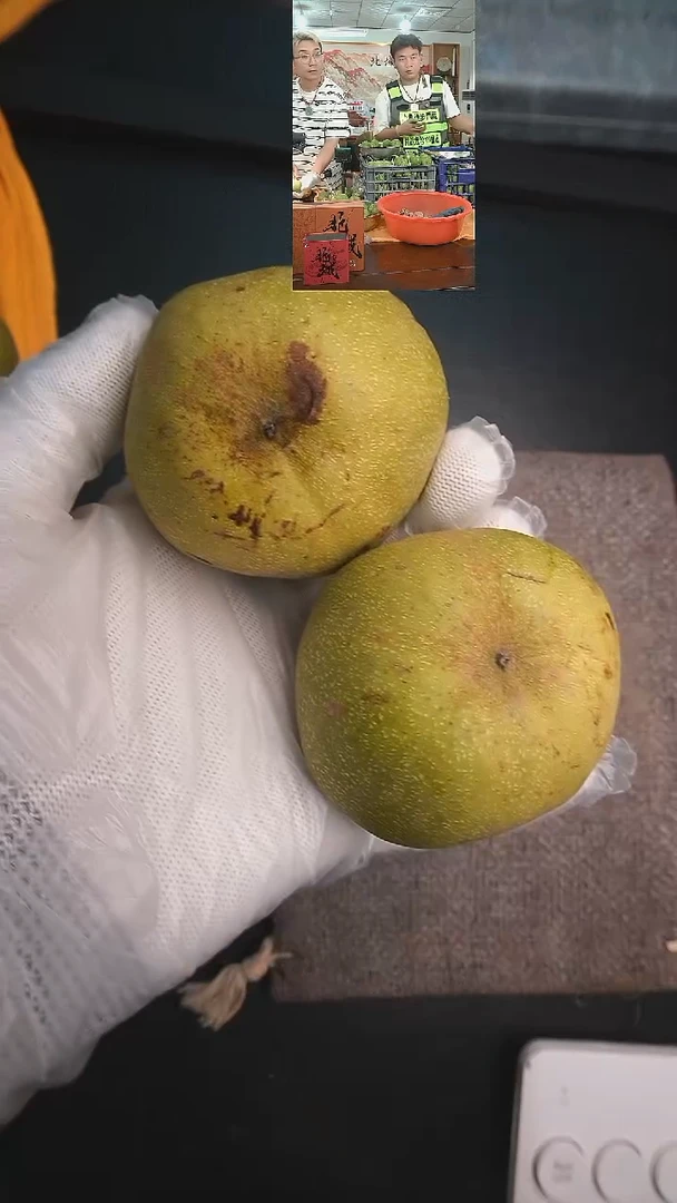 文玩核桃把件青皮70南瓜墩2个（售出不退不换）