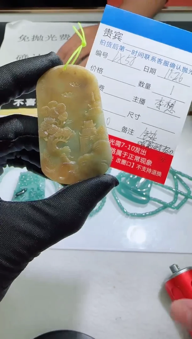 未镶嵌定制翡翠LX58翡翠吊坠赠珠链-多样性发其一