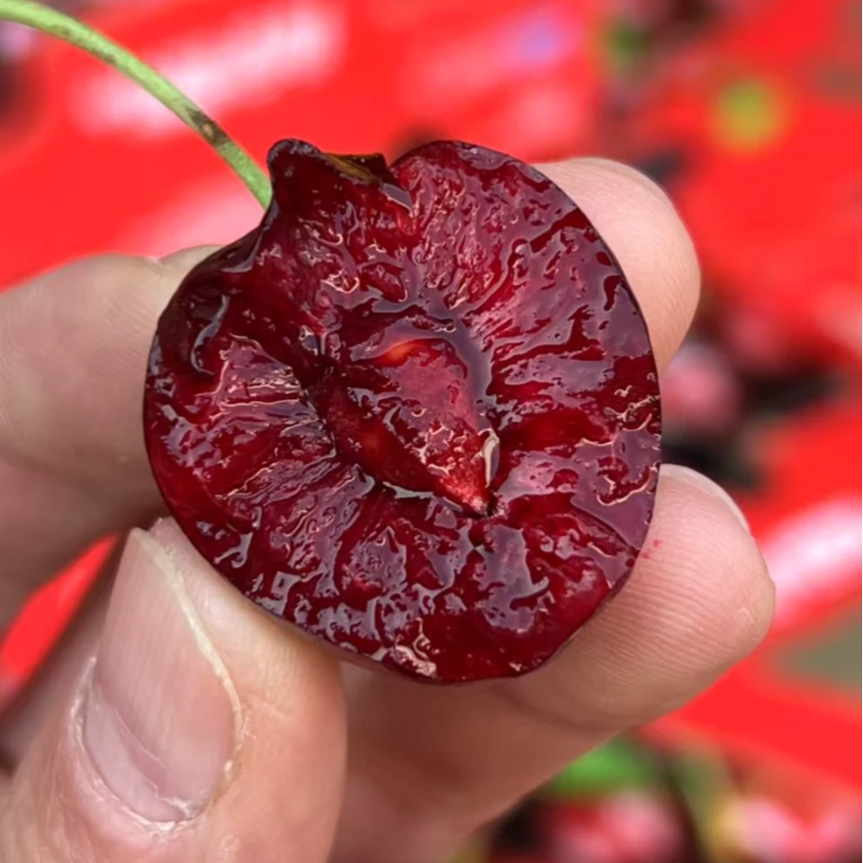 【保罗 瑞吉纳】4JD智利海运车厘子脆甜可口2/5/10斤 内附果径卡