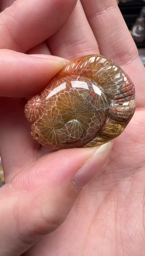 颈饰未镶嵌硅化珊瑚（珊瑚玉）158