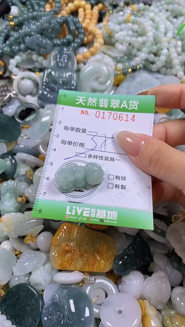 翡翠未镶嵌颈饰闪购0170614多样性发其一