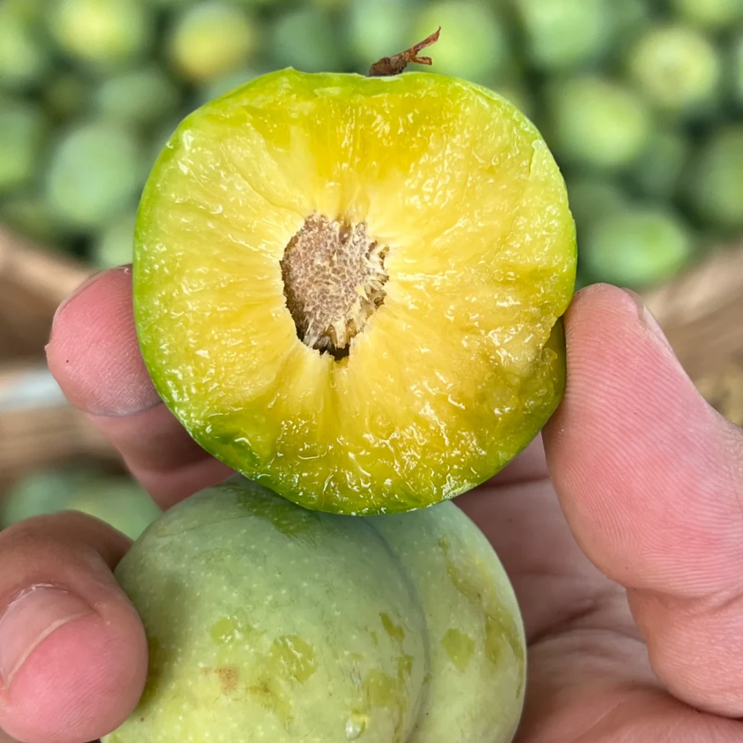 【京东/顺丰】重庆青脆脱骨李脆甜现摘现发好吃净重5斤珍珠棉发货