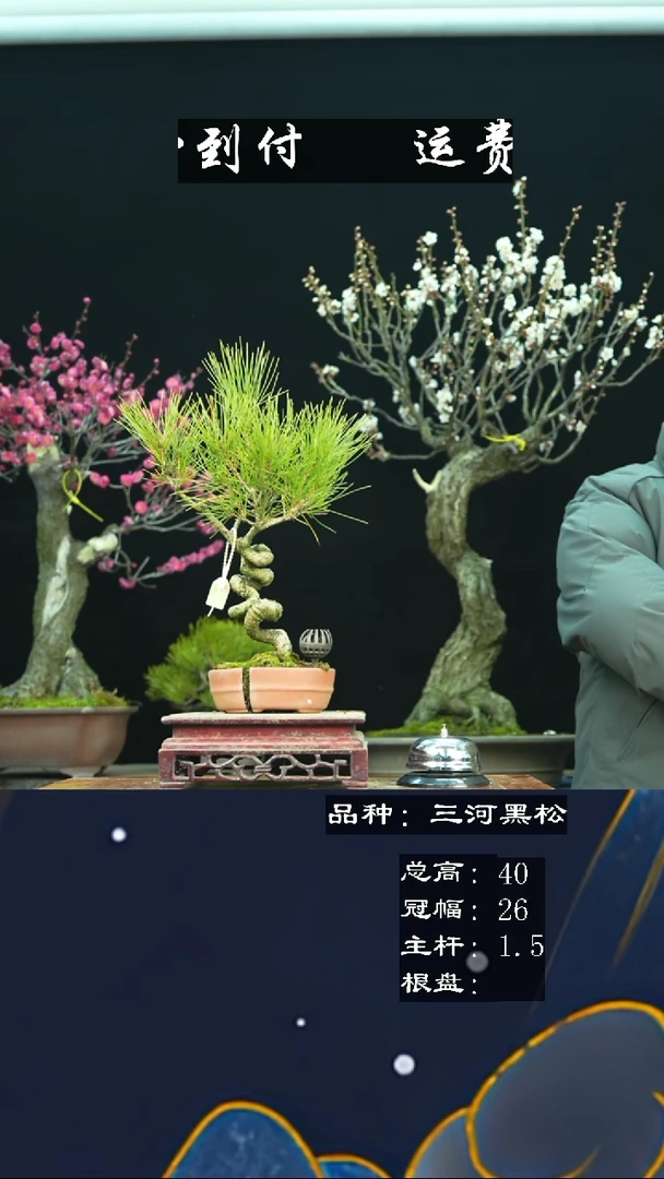 【闪购商品】无铅玻璃91369