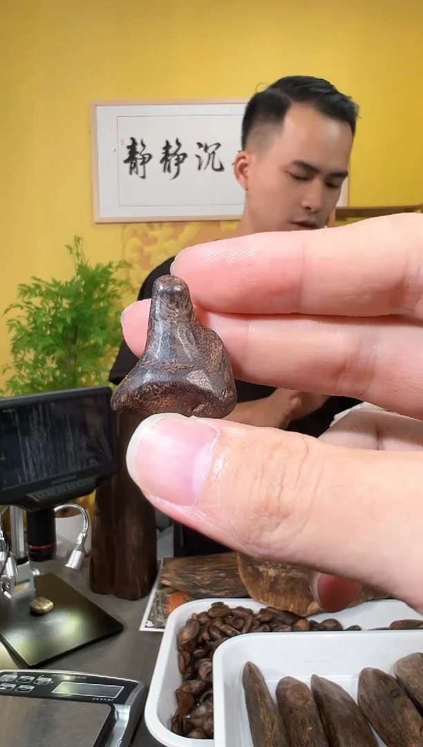 沉香沉香香囊58号5.1克海南多样性发一