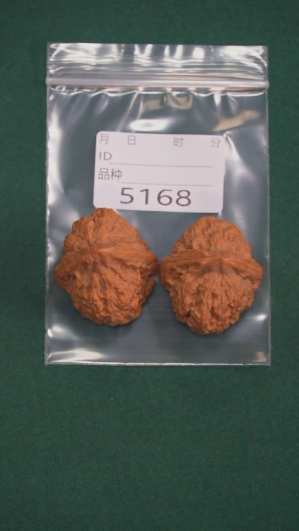 把件文玩核桃奔*霸38龙脊石