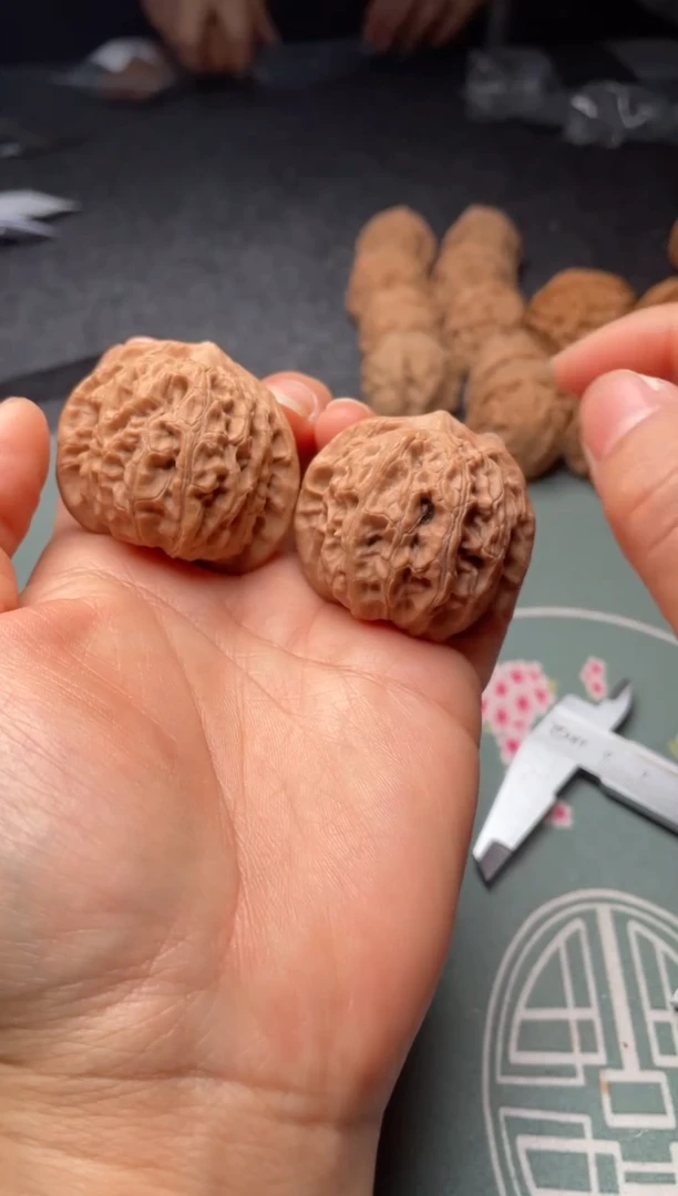 把件文玩核桃w、170   龙脉 41尺