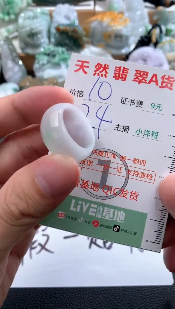 翡翠未镶嵌吊坠(不含链)1