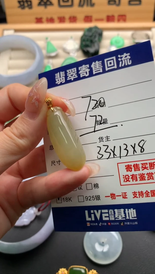 翡翠18K金镶嵌颈饰10136883