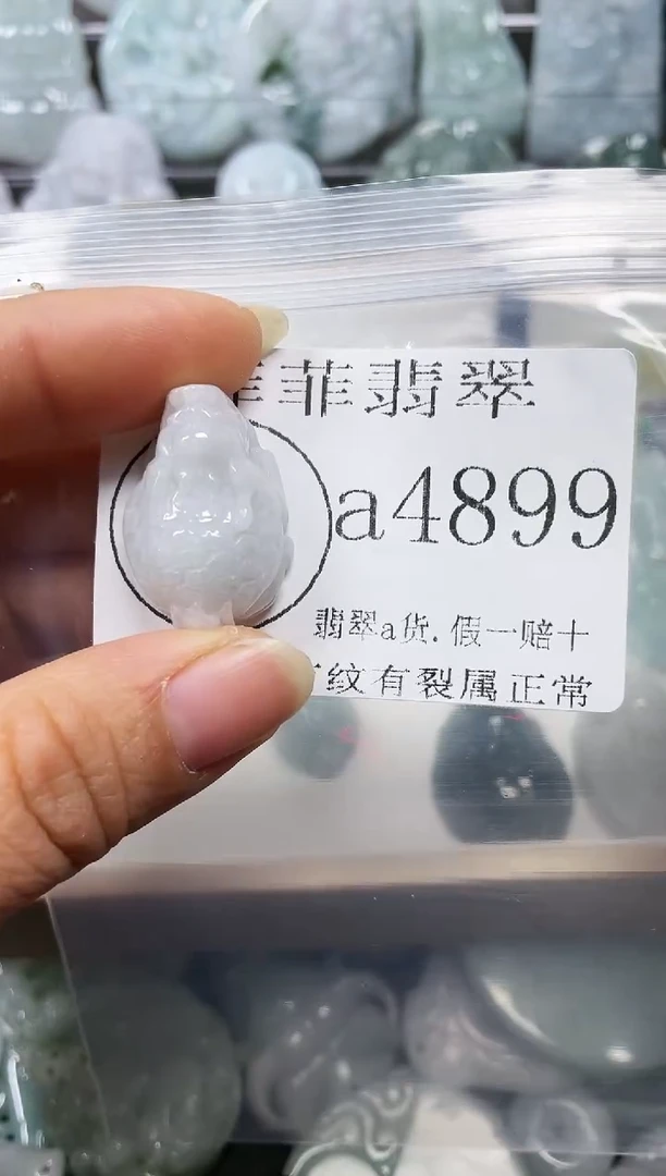 【闪购商品】翡翠颈饰未镶嵌闪购4899