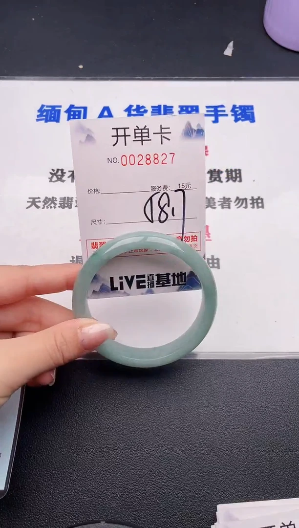 未镶嵌手镯翡翠27
