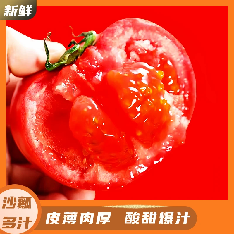 沙瓤西红柿正宗有籽无农残当季可生吃水果沙一口爆汁沙瓤绵密细沙