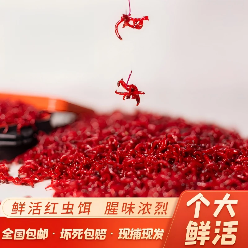 【春节京东快递送货上门】全面让利降价鲜活红虫！死虫包赔！-5