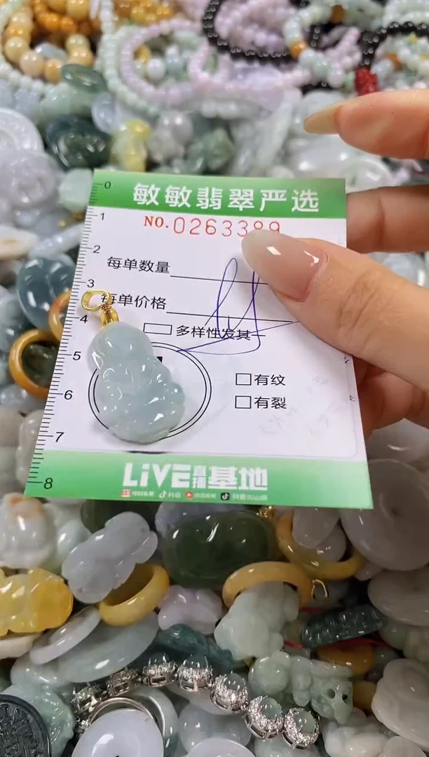 翡翠未镶嵌颈饰闪购0263389多样性发其一