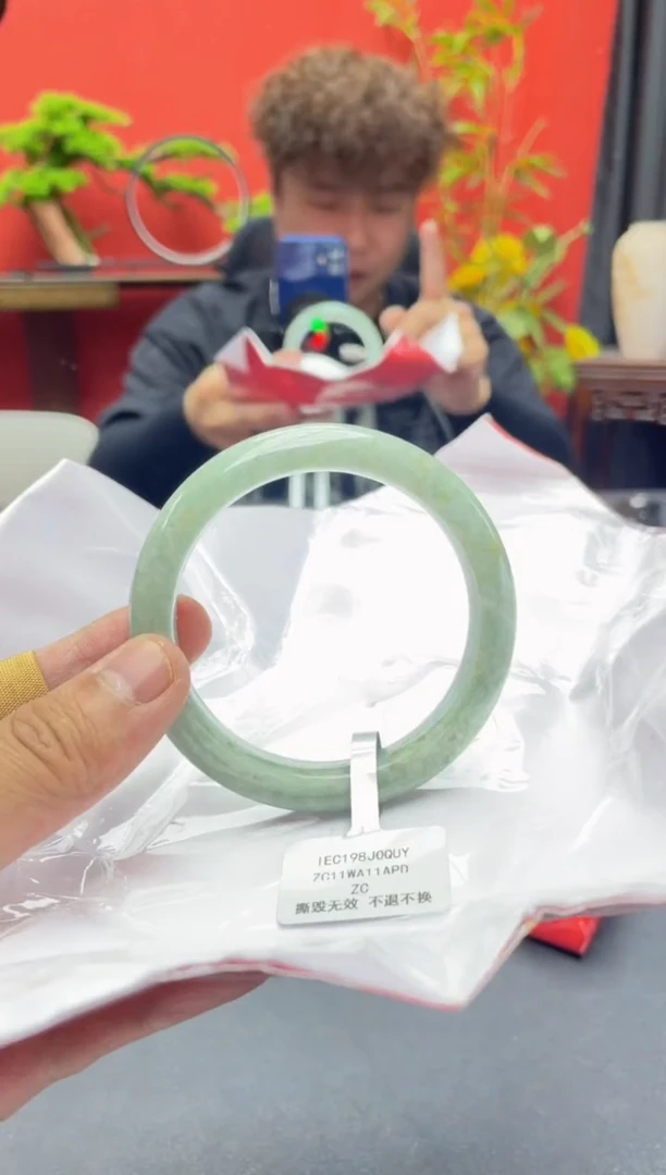 未镶嵌手镯翡翠1