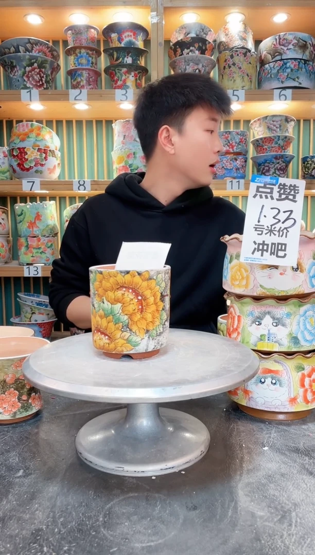 【闪购商品】瓷片默认微瑕一物一拍0410-097