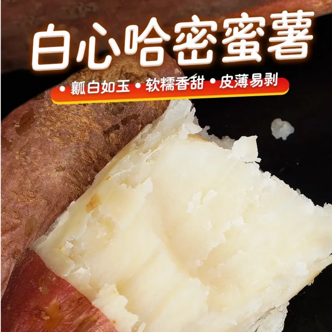助农特惠 五斤装精品果 山东正宗哈密冰糖心白薯新鲜现挖粉糯甘甜