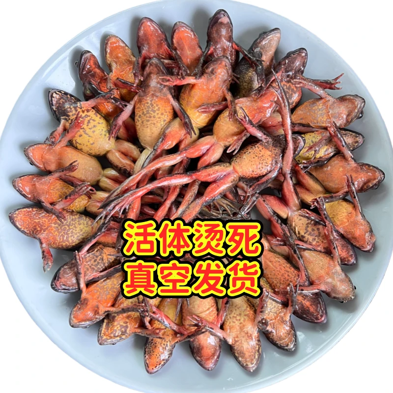 顺丰包邮满籽满油东北林蛙母豹子母蛤蟆东北特产