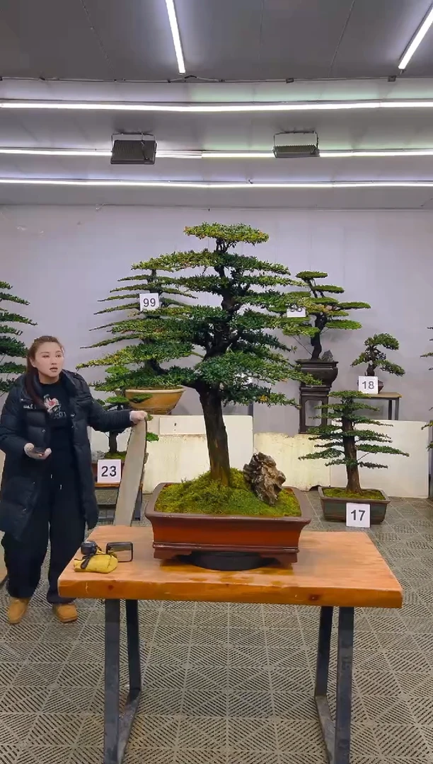 无花朵一物一拍一物一拍