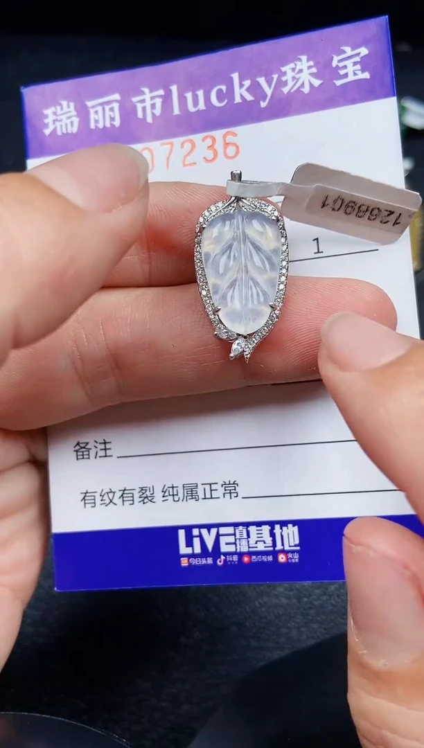 翡翠银S925镶嵌颈饰7236