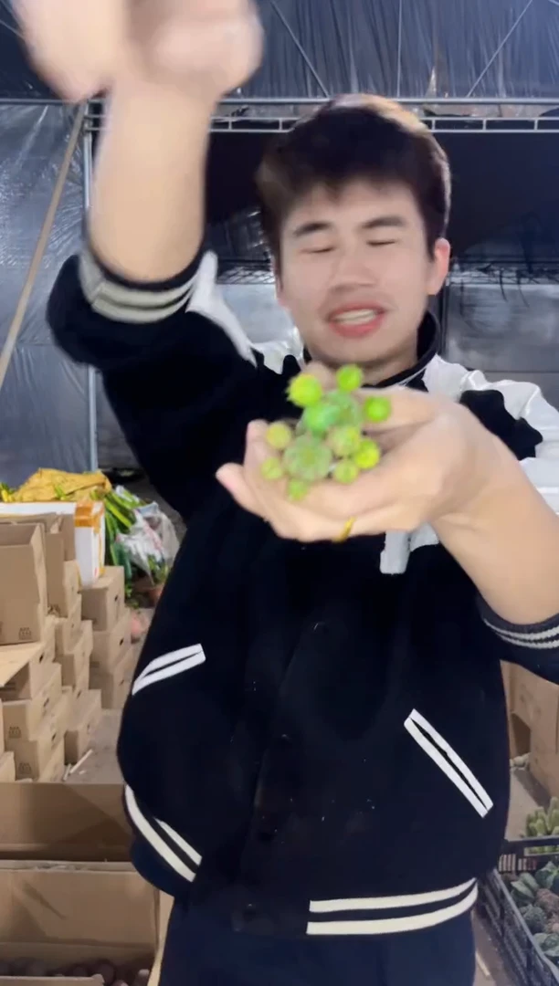 【闪购商品】实生根 子吹 布纹球