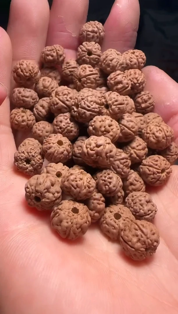 手串金刚菩提非全品老树王散籽9-10mm一份一百颗