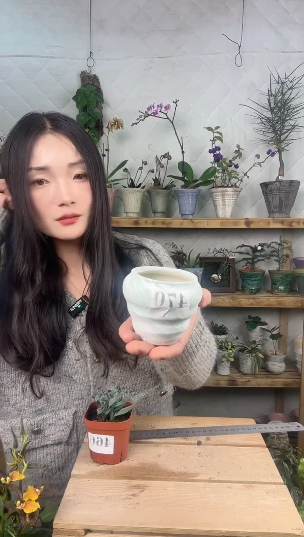 无花朵编号470  景德镇手工盆