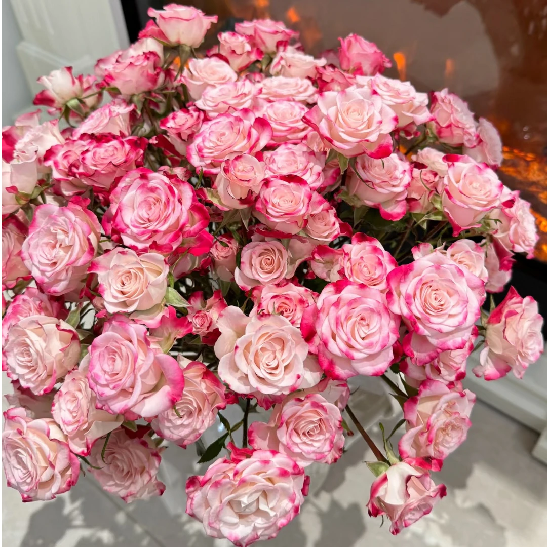 【折射泡泡】多头玫瑰 云南鲜花 任意2单鲜花升级顺丰包邮