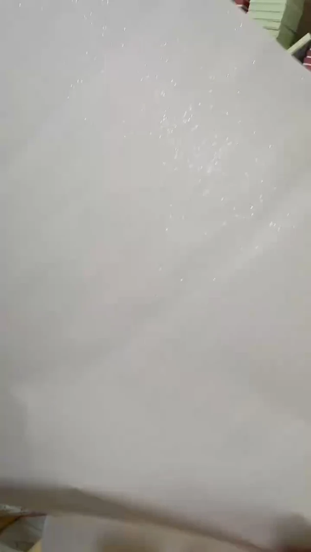 明星宣纸书法绘画34